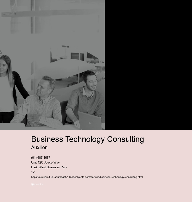 Business Technology Consulting