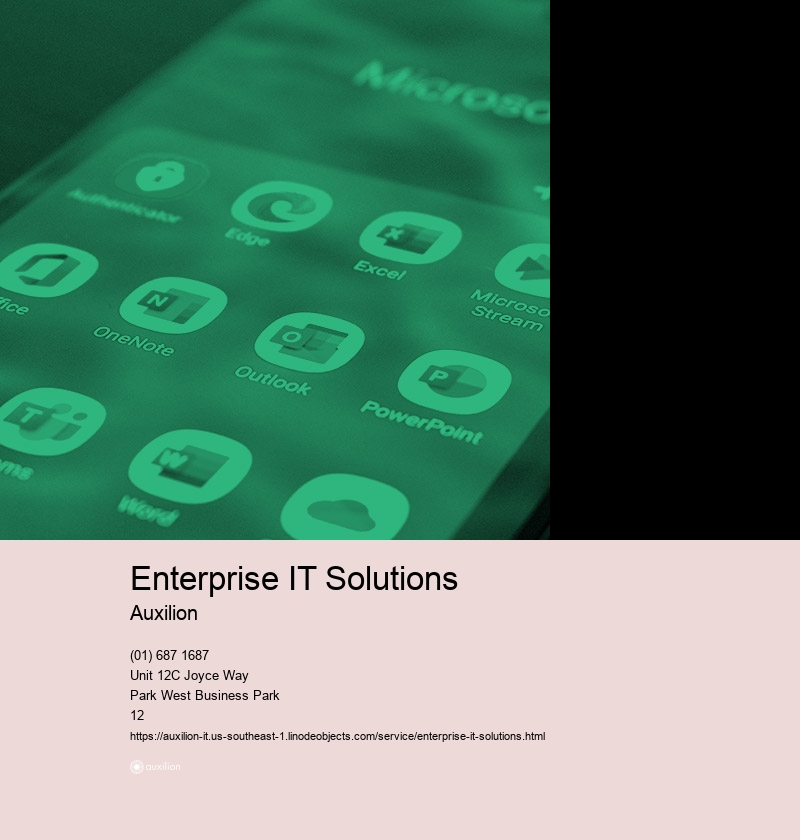 Enterprise IT Solutions Auxilion IT Consultancy Dublin