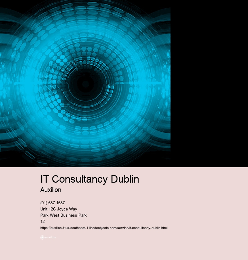 IT Consultancy Dublin