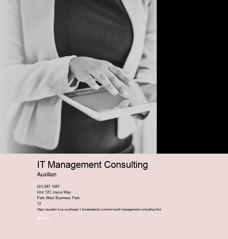 IT Management Consulting